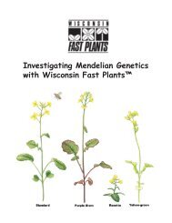 Investigating Mendelian Genetics with Wisconsin Fast Plants™