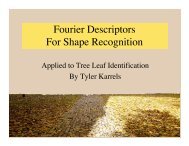 Fourier Descriptors For Shape Recognition - the CAE homepages ...