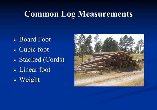 Sawmill Short Course Log Inputs – Measurement & Conversion ...