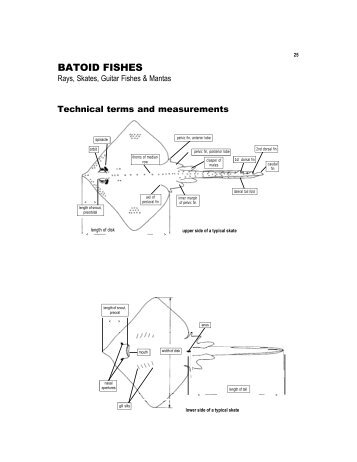 Part 2, pp. 25-38 (1.05MB pdf - UNEP