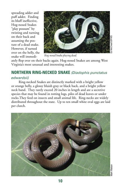 Snakes - West Virginia Division of Natural Resources