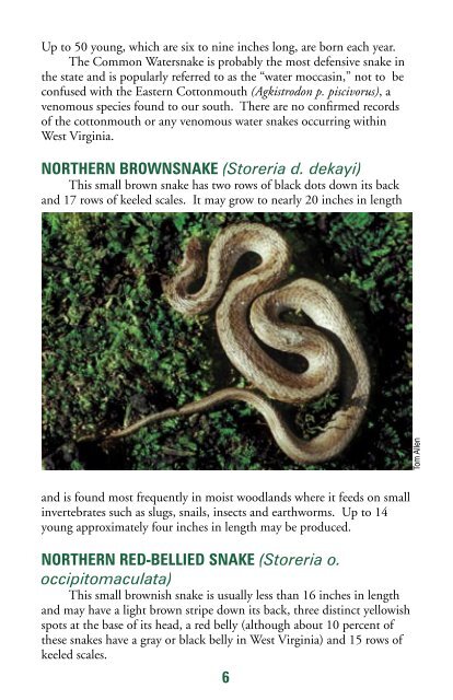 Snakes - West Virginia Division of Natural Resources