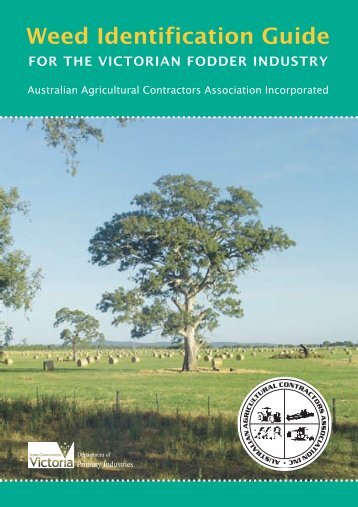 Weed Identification Guide - Australian Agricultural Contractors ...