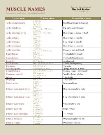 Muscle Names List PDF (portable document file) - Lion Den