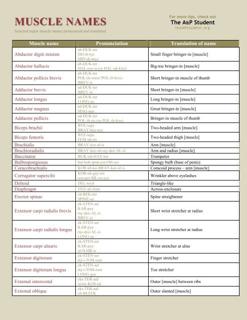 List Of Muscle Names / List Of Bones Of The Human Skeleton Wikipedia