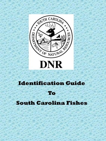 Saltwater Fish Identification Guide (PDF)
