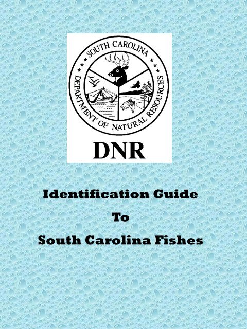 Saltwater Fish Identification Chart Pdf