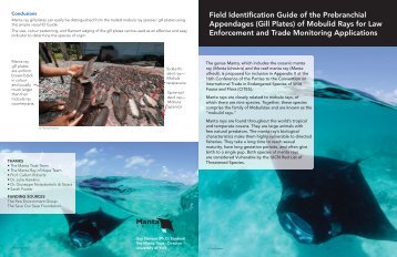 Mobulid Gill Plate Identification Guide (Print Version) - Manta Trust