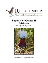 Papua New Guinea II - Rockjumper Birding Tours