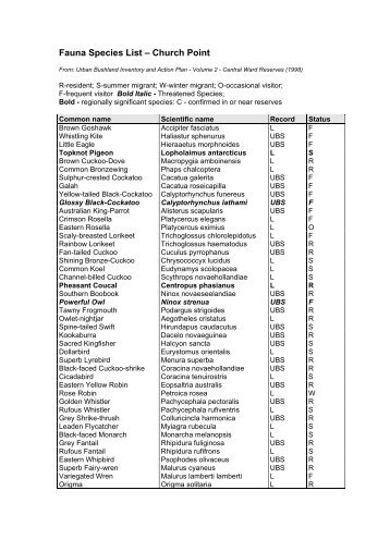 Fauna Species List – Church Point