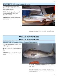 BLUEFISH (Pomatomus saltatrix) OTHER ROUND FISH ... - NOAA