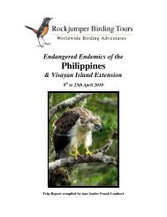 Report - Rockjumper Birding Tours