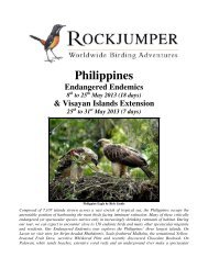 Philippines - Rockjumper Birding Tours