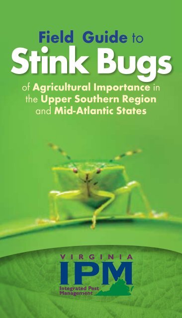 Field Guide to Stink Bugs - Virginia Tech