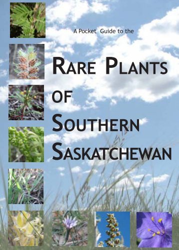 A Pocket Guide to the Rare Plants of - Nature Saskatchewan