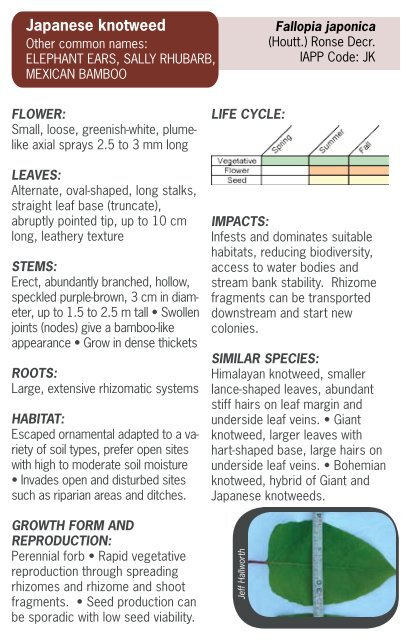 Invasive Plants Identification Field Guide - Jun - Ministry of Forests