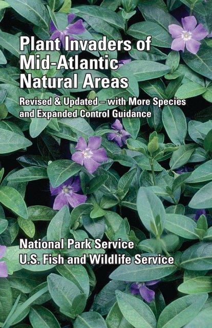 Plant Invaders of Mid-Atlantic Natural Areas - National Park Service