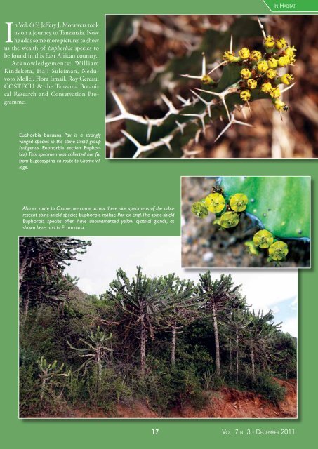 In Tanzania - International Euphorbia Society