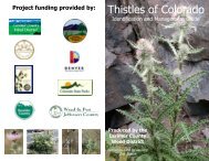 Thistles of Colorado - Summit County Government