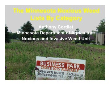 MN Noxious Weed Lists w/Photos - Otter Tail County