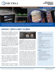 AMS ™ for Heat Recovery Steam Generators - MISTRAS Group, Inc.