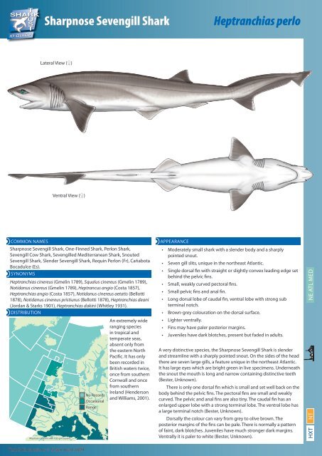 Download PDF - The Shark Trust