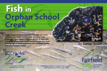 Fish in Orphan School Creek - Fairfield City Council