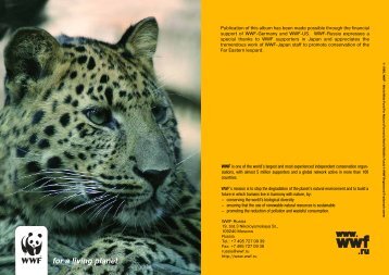 THE FAR EASTERN LEOPARD: LIFE ON THE EDGE