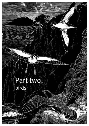 Tiritiri Matangi: An education resource for schools: Part two: Birds