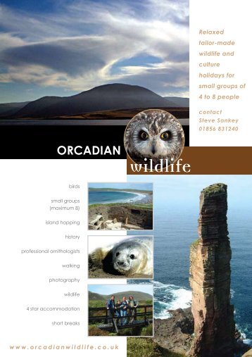 2013 Orcadian Wildlife Tours Leaflet