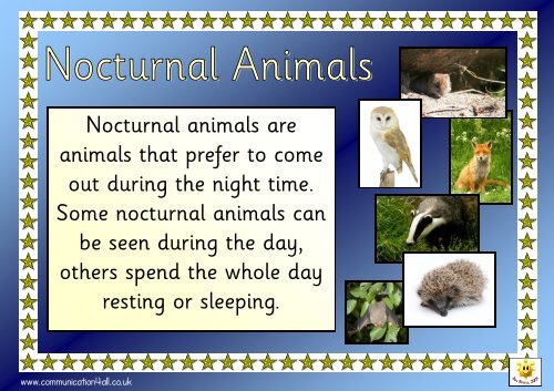 Nocturnal animal fact pack - Communication4All