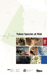 Yukon Species at Risk - Environment Yukon