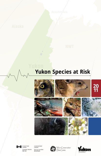 Lemming  Government of Yukon