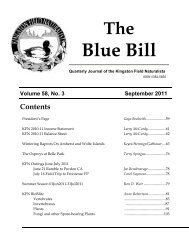 Blue Bill - Kingston Field Naturalists