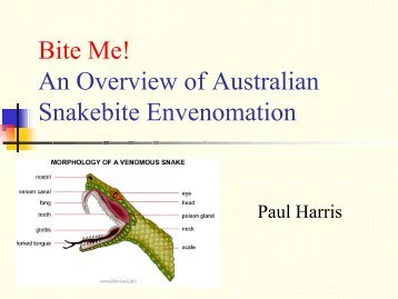 Bite Me! An Overview of Australian Snakebite Envenomation