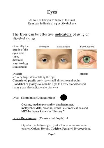 The Eyes can be effective indicators of drug or ... - Jay CAN Home