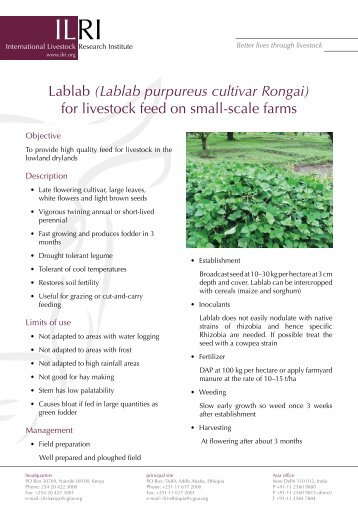 Lablab (Lablab purpureus cultivar Rongai) for livestock feed on ...