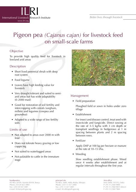 Pigeon pea (Cajanus cajan) for livestock feed on small-scale farms