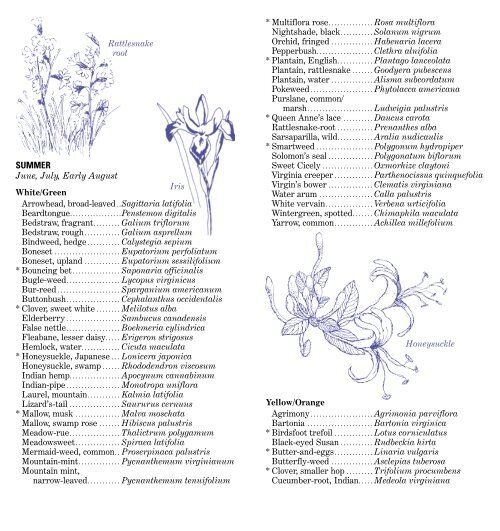 Download the wildflower brochure - U.S. Fish and Wildlife Service