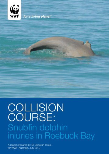 Snubfin dolphin injuries in Roebuck Bay - wwf - Australia
