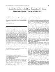 Genetic Correlations with Floral Display Lead to Sexual - Colgate ...