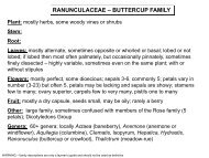 RANUNCULACEAE – BUTTERCUP FAMILY - Flora by Max