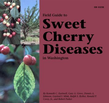 Field Guide to Sweet Cherry Diseases in Washington