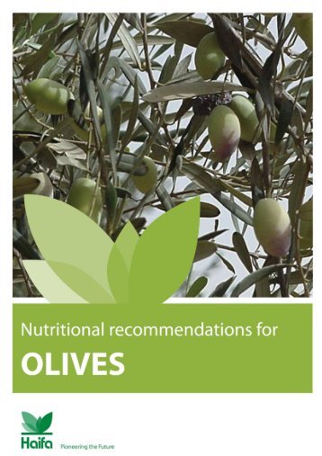 Crop Guide: Nutritional recommendations for Olives - Haifa-Group