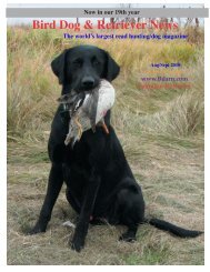 All (115 pages 58.3 MB) - Bird Dog & Retriever News