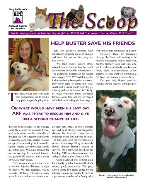 help buster save his friends - Tony La Russa's Animal Rescue ...