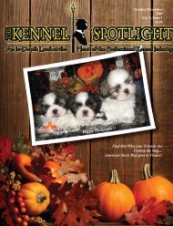Happy Halloween!! - Kennel Spotlight