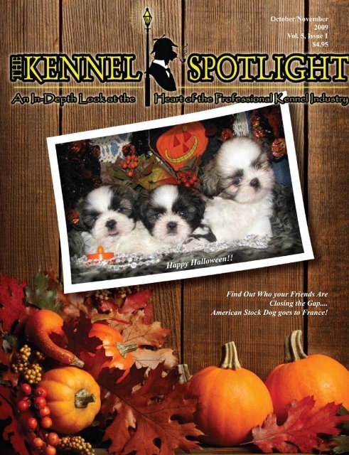 Happy Halloween!! - Kennel Spotlight