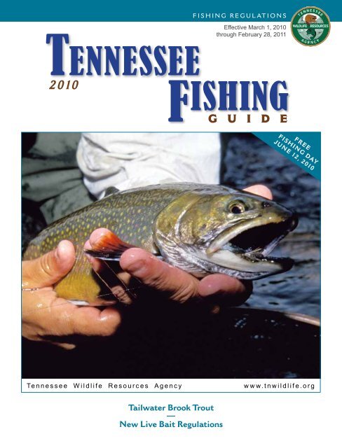 TENNESSEE FISHING - Tennessee Vacation