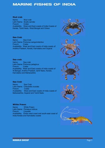 MARINE FISHES OF INDIA - Nirmala Group